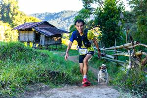 BIB: 2007, 
                            <button type="button" onclick="openModal(19040792)" class="btn btn-primary btn-sm float-right btn-popup" data-toggle="modal" data-target=".modal-high-quality">
                        <i class="fas fa-shopping-cart"></i> Add to Cart
                    </button>
                                            <button type="button" onclick="isThisMe(19040792, true)" class="btn btn-success btn-sm float-right btn-popup btn-isme hidden" data-toggle="tooltip" data-placement="bottom" title="นี่คือรูปของคุณใช่ไหม คลิกที่นี่เพื่อเอาเข้าอัลบั้ม">
                        <i class="fas fa-plus"></i> Add to album
                    </button>
                    <button type="button" onclick="isThisMe(19040792, false)" class="btn btn-warning btn-sm float-right btn-popup btn-isnotme hidden">
                        <i class="fas fa-ban"></i> Remove from album
                    </button>